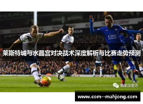 莱斯特城与水晶宫对决战术深度解析与比赛走势预测
