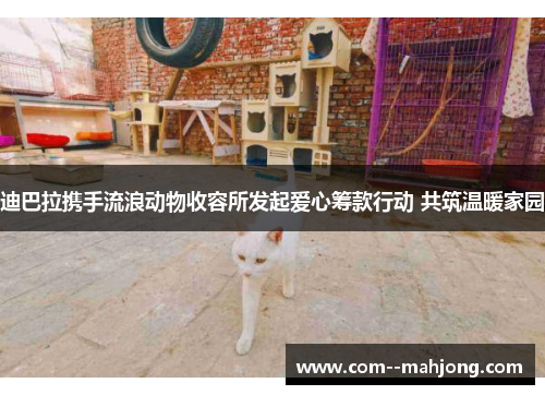 迪巴拉携手流浪动物收容所发起爱心筹款行动 共筑温暖家园 迪巴拉携手流浪动物收容所发起爱心筹款行动 共筑温暖家园