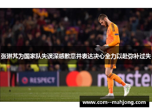 张琳芃为国家队失误深感歉意并表达决心全力以赴弥补过失 张琳芃为国家队失误深感歉意并表达决心全力以赴弥补过失